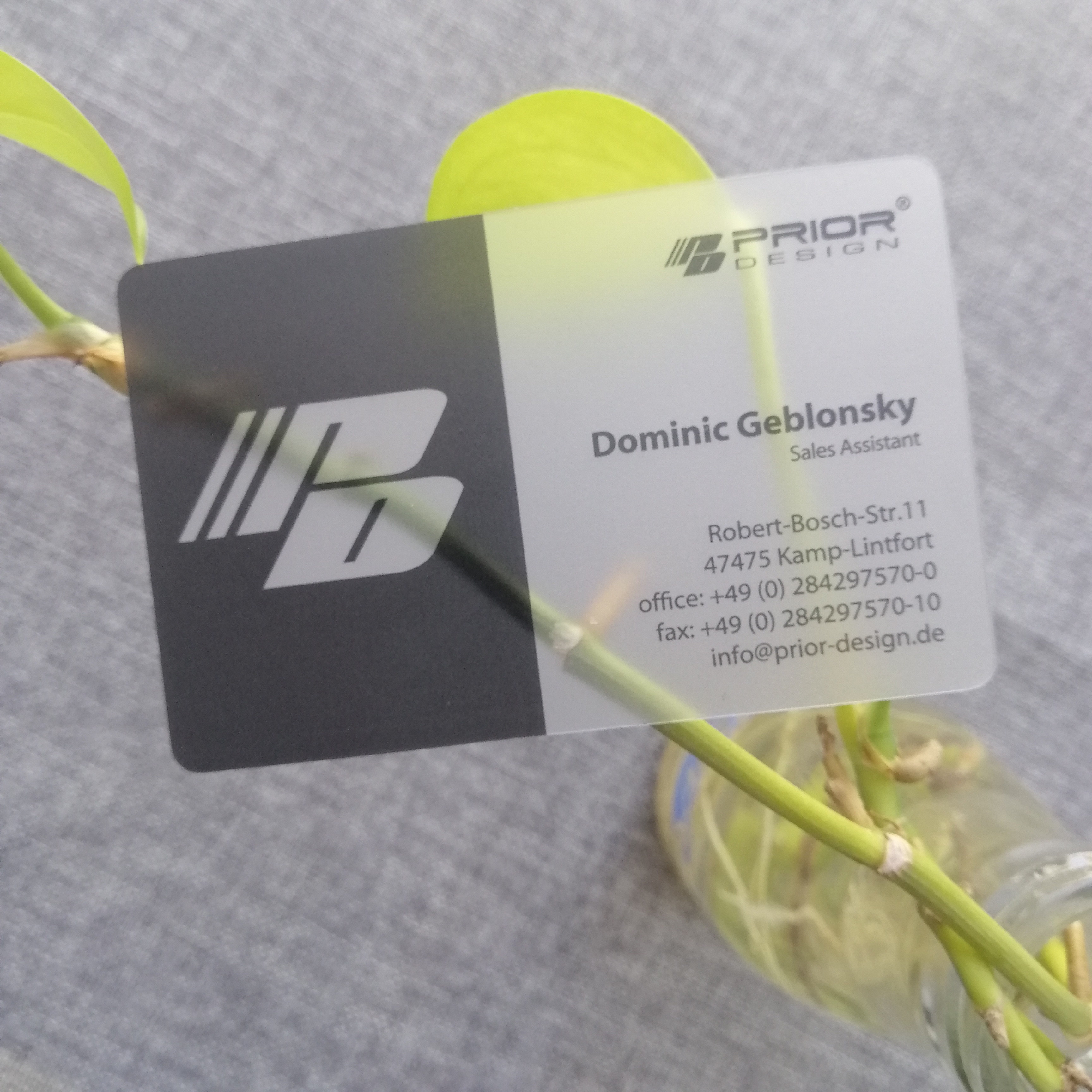 Factory Price Transparent Plastic Business Cards CMYK Color Customized Offset Printing Hot Stamping Surface Finish 0.38mm