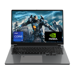 แล็ปท็อปเกมมิ่งขนาด 16 นิ้ว DDR5 I9-13900H เจนเนอเรชั่น 13 RTX 4060 16GB GDDR5 Win 11 Pro 144Hz 16:10 SSD 14-Core 2.6GHz เจนเนอเรชั่น 13 RTX 4060 De - Product Image 1