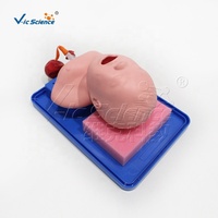 Maniquí de Entrenamiento para Intubación Neonatal, Tamaño Real, PVC, Vía Aérea Oral y Nasal, para Educación en Reanimación de Recién Nacidos, con Certificaciones CE, ISO, ROHS y CNAS