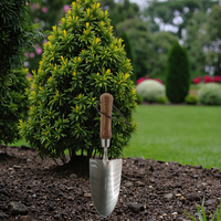 SUNSHINE Mini Pala da Giardino con Manico in Legno, Pala in Acciaio Inossidabile per Scavare, Diserbo e Dissodare il Terreno, Attrezzo Manuale