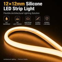 Bande lumineuse LED néon en silicone personnalisée 1212, semi-circulaire, haute luminosité, extérieure IP67 5V 12V 24V, ruban LED blanc CCT RGB