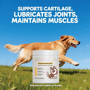 Suplementos <span class=keywords><strong>para</strong></span> Mascotas <span class=keywords><strong>de</strong></span> Marca Privada, 120 Tabletas Masticables Blandas <span class=keywords><strong>de</strong></span> Cúrcuma Orgánica <span class=keywords><strong>para</strong></span> Perros, Apoyo <span class=keywords><strong>para</strong></span> Cadera y Articulaciones - Product Image 2