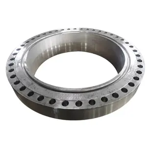 FF 304 316 321 Forged Flange Stainless Steel Flange Customized for Material