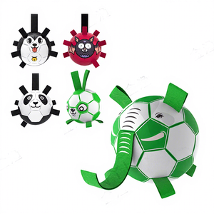 Kangdaer Customize OEM Outdoor Pet <b>Dog</b> Soccer Ball Toy Halloween - Product Image 2