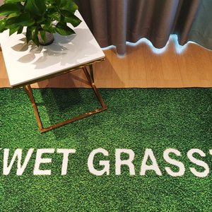 Nhà Máy Bán Buôn Có Thể Giặt Thảm Và Thảm 3D In Thảm Cỏ Ướt Chất Lượng Cao Sợi Nhỏ Tùy Chỉnh Thảm Với Logo - Product Image 4