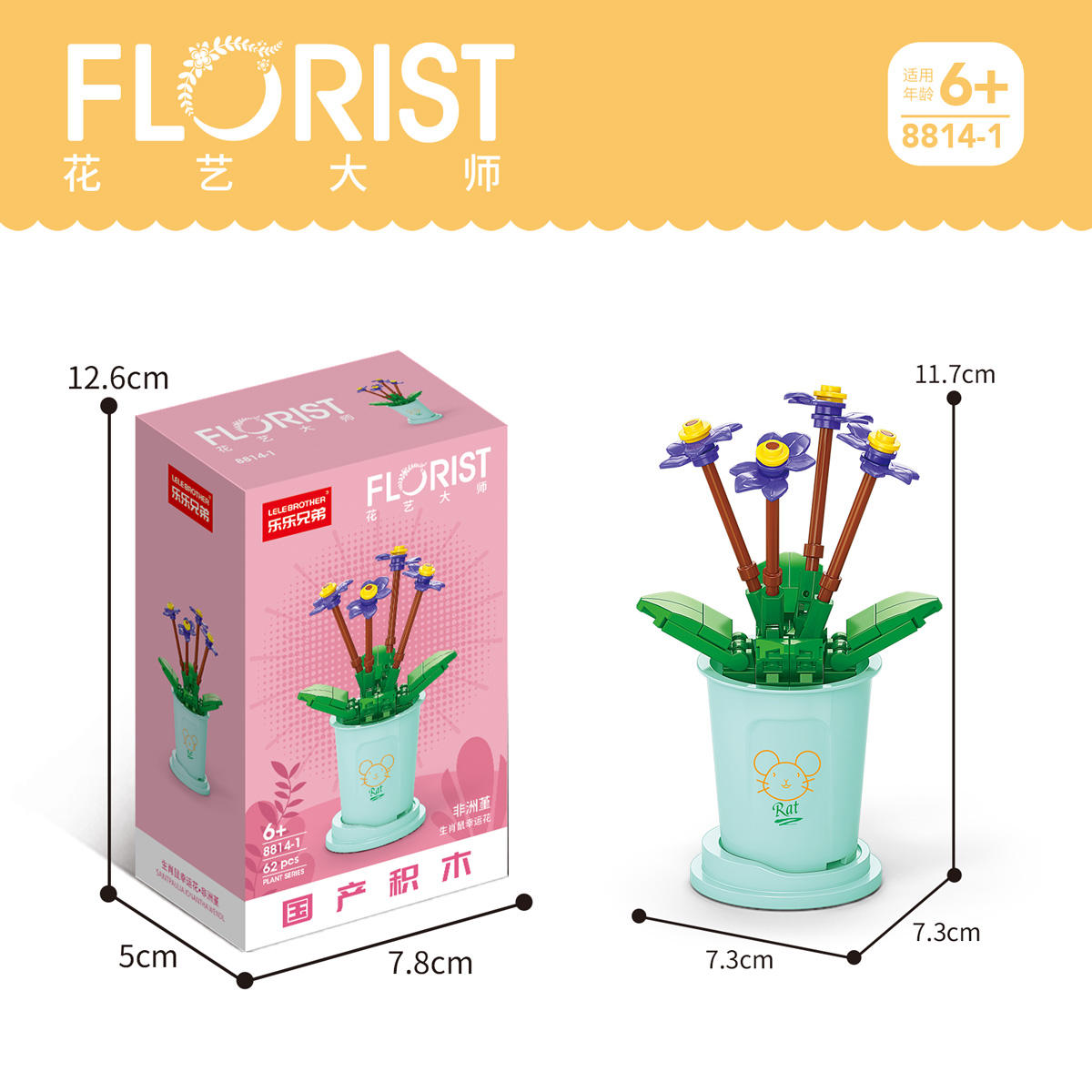 8814-1 saintpaulia ionantha wendl 62ชิ้น