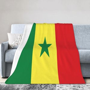 Plaques d'<span class=keywords><strong>immatriculation</strong></span> nationales personnalisées de haute qualité pour le jour du match de football 2026 au Sénégal, sacs à lunch, serviettes de plage, etc. – Vente en gros à bas prix - Product Image 4