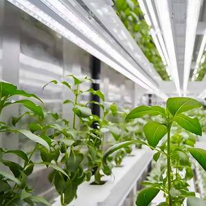 Système de culture hydroponique de micro-légumes Skyplant pour intérieur commercial avec pompe et lumière LED, structure stable, facile à assembler - Product Image 4