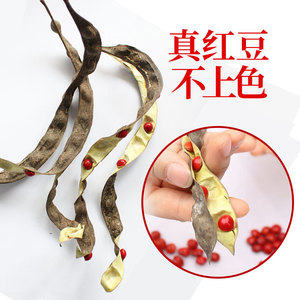 Red Bean <b>Bracelet</b> 108 Beads Natural Red Beans Genuine For <b>Couples</b> Qixi Festival Gift Unisex Jewelry Hangzhou Origin - Product Image 3