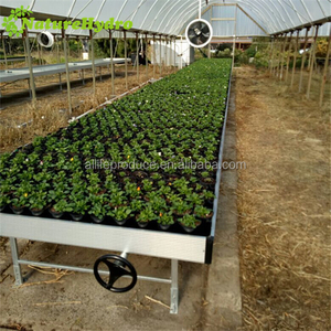 Bancs Oeuf avec moteur de Jn8-48 Agriculture Serre Systèmes hydroponiques Banc roulant Ebb and Flow Grow Tray à vendre - Product Image 4