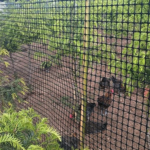 Cường độ cao 30/30 40/40kn sợi thủy tinh biaxial PP <span class=keywords><strong>geogrid</strong></span> cho bãi đậu xe và đường lái xe nhựa Geo lưới - Product Image 3