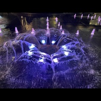 Fontaine Phénix en Acier Inoxydable à Prix d'Usine de Fournisseur Chinois, Fontaine Musicale Colorée pour Jardin, Fontaine d'Eau Extérieure à Vendre