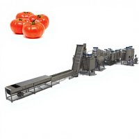 Usine de transformation de pâte de tomate concentrée 6 T/H