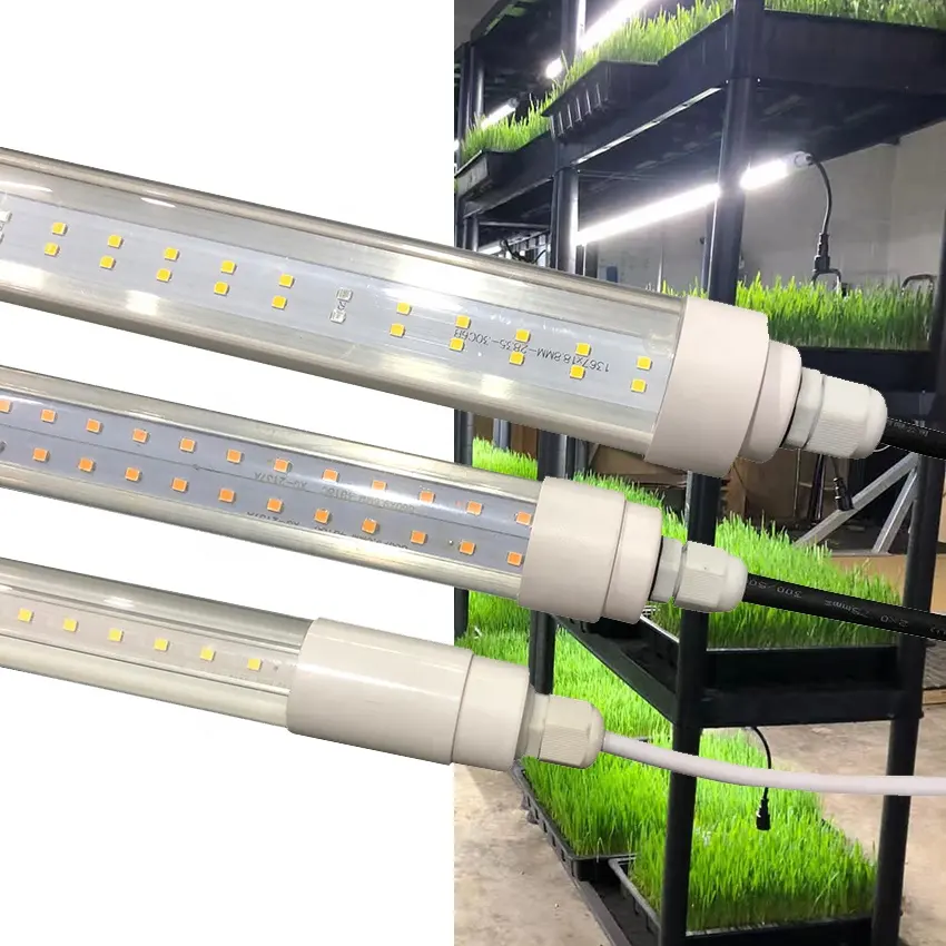 T8 led tumbuh cahaya tabung bar uv ir merah untuk pisang Jaringan Budaya microgreens