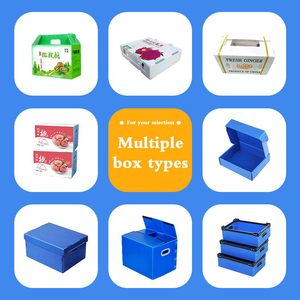 Tùy chỉnh màu sắc <span class=keywords><strong>PP</strong></span> rỗng Hội Đồng Quản trị với Thương hiệu Mới không thấm nước rỗng nhựa bảng phân vùng làm bằng polypropylene - Product Image 5