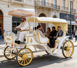 Chariot de mariage électrique à chevaux, calèche de tourisme européenne à chevaux, chariot de balnéo à chevaux - Product Image 1