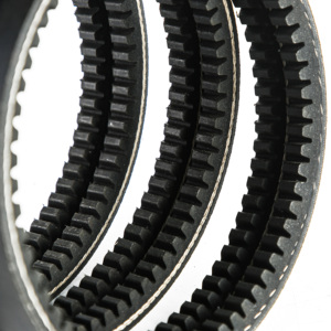 Correa trapezoidal acanalada RZX RAX <span class=keywords><strong>RBX</strong></span> RCX RDX para mayor potencia y velocidad - Product Image 1