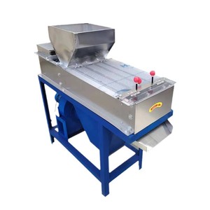 เครื่องปอกเปลือกถั่วลิสงสแตนเลส HONGXIN สำหรับโรงงานแปรรูปถั่ว - Product Image 3