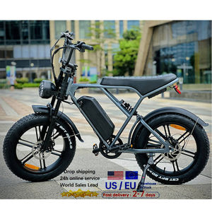 โครงเหล็กมอเตอร์ไฟฟ้าดุมหลัง20 "ระบบกันสะเทือนแบบเต็ม H9 48V 500W สำหรับผู้ใหญ่ voo H9 - Product Image 2