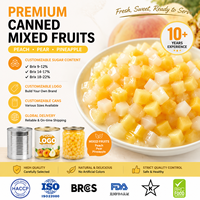 Premium fruitblokjesmix in blik, gemaakt van verse ananas, gele perzik en peerblokjes