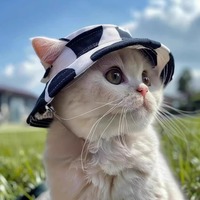 Lindo Sombrero de Sol para Mascotas con Orejas Expuestas, Protección UV de Verano, Sombrero de Pescador para Perros y Gatos, Gorro para Cachorros Devon, Protección Solar para Mascotas al Aire Libre