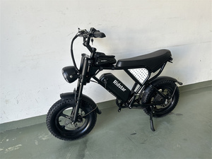 VTT Électrique Moteur Moyeu Ridstar 750W 1000W Personnalisé, Moto Tout-Terrain, Vélomoteur Hybride pour Adultes, Fabricant de Vélo de Montagne Pas Cher - Product Image 5