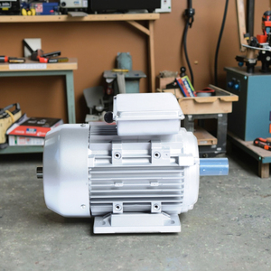 Motor de CA Monofásico Serie ML de 3kw 4hp, 220v 50hz, con Doble Condensador y Carcasa de Aluminio para Uso Doméstico, en Oferta - Product Image 1