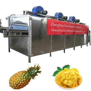 Mesh Belt Tunnel Hot Air Dryer Machine for Ginger Chilli Vegetables Fruit