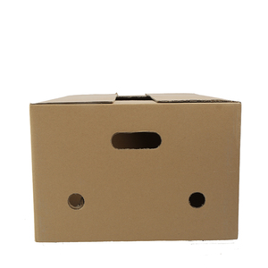 Contenedor <span class=keywords><strong>de</strong></span> cartón <span class=keywords><strong>de</strong></span> exportación <span class=keywords><strong>de</strong></span> China, cajas <span class=keywords><strong>de</strong></span> frutas y verduras frescas <span class=keywords><strong>con</strong></span> orificio <span class=keywords><strong>de</strong></span> aire - Product Image 5