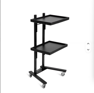 Chariot mobile de haute qualité pour salon de beauté, salon de massage et salon de coiffure - Nouveau produit très demandé - Product Image 2