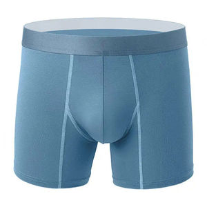 Hot Selling Men's Gym Shorts Daily Style Solid Color Boxers Briefs Long Leg Cotton <b>Underwear</b> for Men Breathable - Product Image 1
