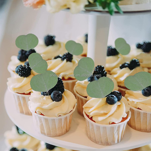 Feuilles d'eucalyptus naturelles personnalisées 100% feuilles d'eucalyptus préservées pour confettis de mariage/décoration de gâteau - Product Image 4