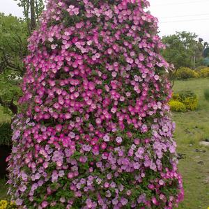 Macetero en Forma de Torre, Macetero Esférico, Decoración de Jardín, Macetas y Jardineras, Macetero en Forma de Torre para Jardín - Product Image 6