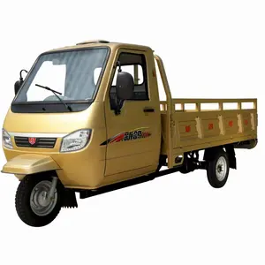 Fabrik preis Farm Cargo Transport 1500w Motorrad Dreirad 72V Motorisierte Dreirad LKW Mini Truck Adult Dreirad