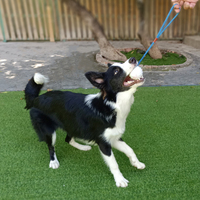 Jouets interactifs pour chiens en corde, pour mâcheurs de toutes tailles, balle en corde pour chien, balle à mâcher pour chien, vente chaude