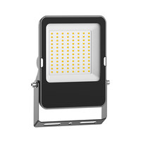 Projecteur LED Extérieur Étanche IP66 50W pour Jardin, Éclairage Mural et Projecteur de Jardin