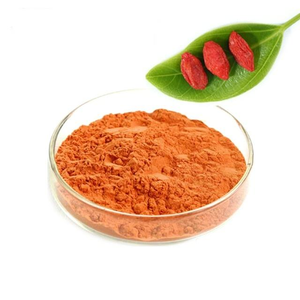 Polvo de Frutos de Goji Liofilizados 100% Puro, Instantáneo y Orgánico - Product Image 3