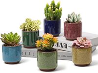 Petit pot de fleurs en céramique écologique de 2,5 pouces avec trou de drainage, finition glacée effet craquelé, pour plantes succulentes et cactus