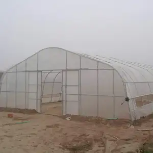 large size hoop greenhouse built in Malaysia