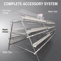 Système complet de ferme avicole de grande capacité pour 20 000 poulets de type A, avec équipement de poulailler, d'alimentation, d'abreuvement et de ligne de production