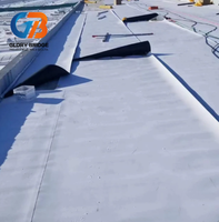 Membrana de Techo TPO Blanca de Alta Calidad, Membrana de Techo de Poliolefina Termoplástica, Membrana de PVC con Precio de Fábrica