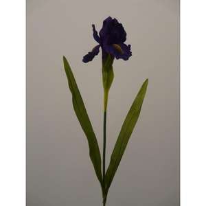 IRIS SPRAY X1 72CM PU - Product Image 1