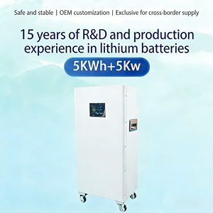 Système de stockage d'énergie photovoltaïque domestique hybride/hors réseau personnalisé 5kW LiFePO4 48V-300V pour 5/10 degrés d'électricité - Product Image 5