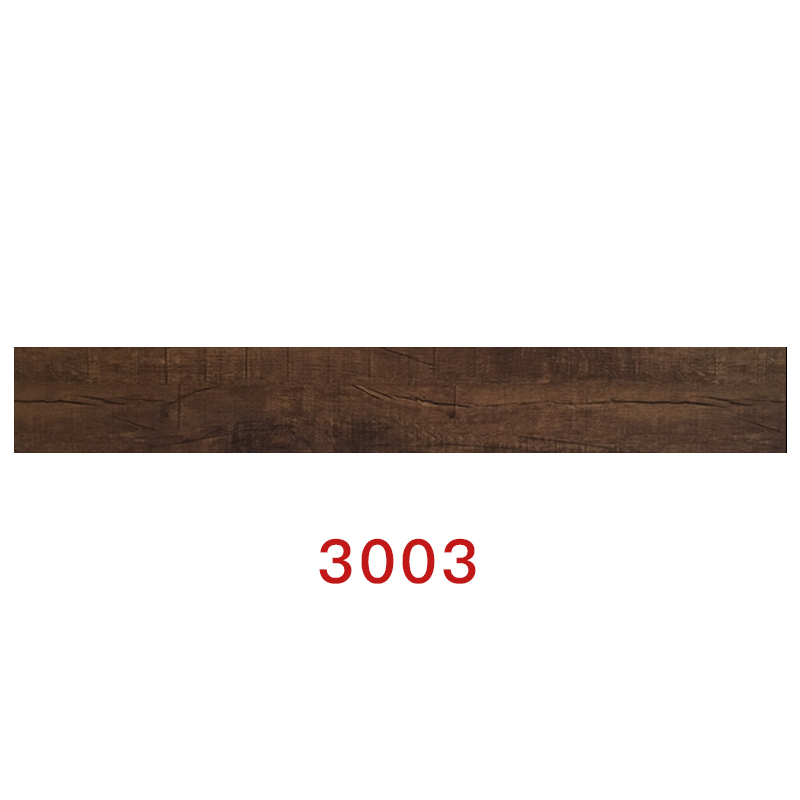 3003