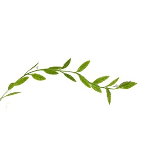 Guirnalda de Salgueiro Artificial Verde Claro para Montar en la Pared, Decoración para Bodas, Hojas de Simulación, Planta de Plástico, Follaje Verde - Product Image 3