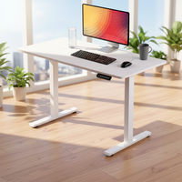 Cadre de bureau électrique à moteur unique économique, réglable en hauteur sur 2 niveaux, pour bureau assis-debout à domicile
