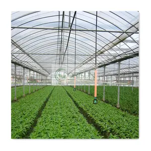 Hot Sale Agricultural Greenhouse Sheet 200 Microns Solar Drying Heater Growing Tomato Multi-Span Galvanized Greenhouse