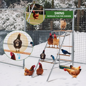 Juego de actividades personalizable para <span class=keywords><strong>gallinas</strong></span> con columpios, perchas y escalera para <span class=keywords><strong>gallinas</strong></span>, ideal para gallineros con columpio. - Product Image 6