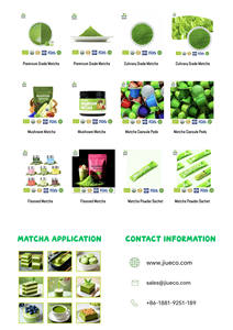 Jiueco – Approvisionnement direct usine – Poudre de matcha en vrac 1 kg – Nouveau sachet - Product Image 5