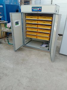 Tự động tạo độ ẩm Điều khiển 880 trứng bình thường lồng ấp sơ đồ con công Máy Ấp Trứng để bán - Product Image 6